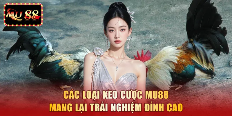 Các loại kèo cược MU88 mang lại trải nghiệm đỉnh cao