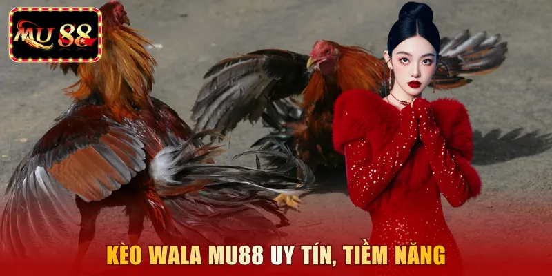 Kèo Wala MU88 uy tín, tiềm năng