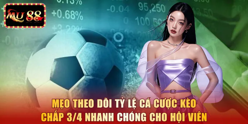 Mẹo theo dõi tỷ lệ cá cược kèo chấp 3/4 nhanh chóng cho hội viên 