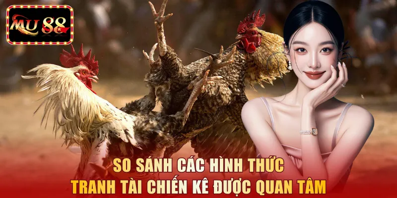 So sánh các hình thức tranh tài chiến kê được quan tâm